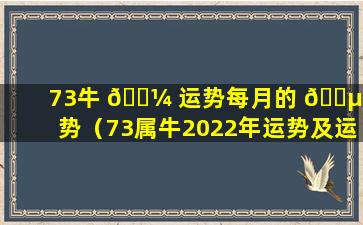 73牛 🐼 运势每月的 🌵 运势（73属牛2022年运势及运程每月运程）